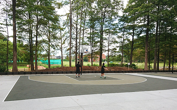 バスケットボール広場