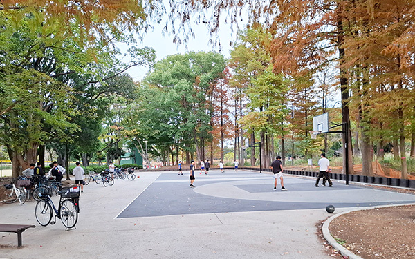 バスケットボール広場