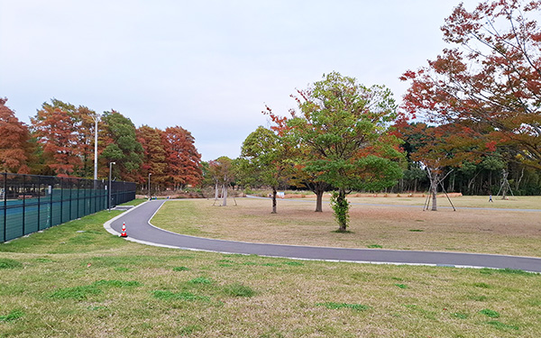 ピクニック広場