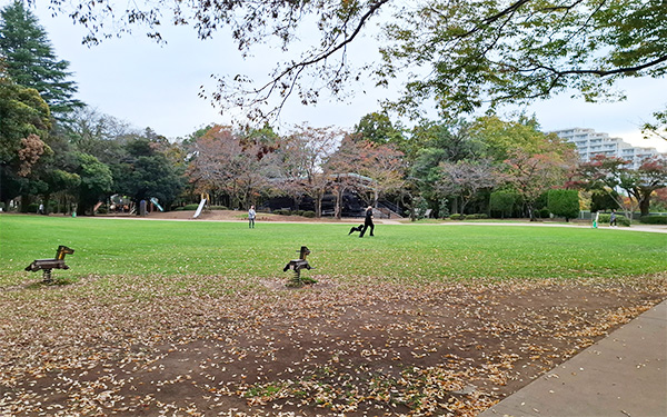 芝生広場