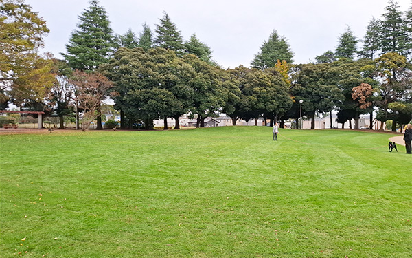 芝生広場
