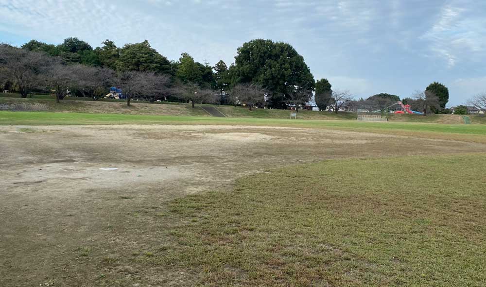 本庄総合公園多目的グラウンド